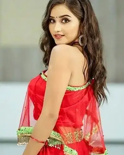 Call Girls Service Tiruchuli